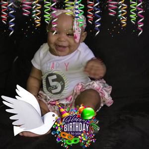 Meet your Posher, Dorothy